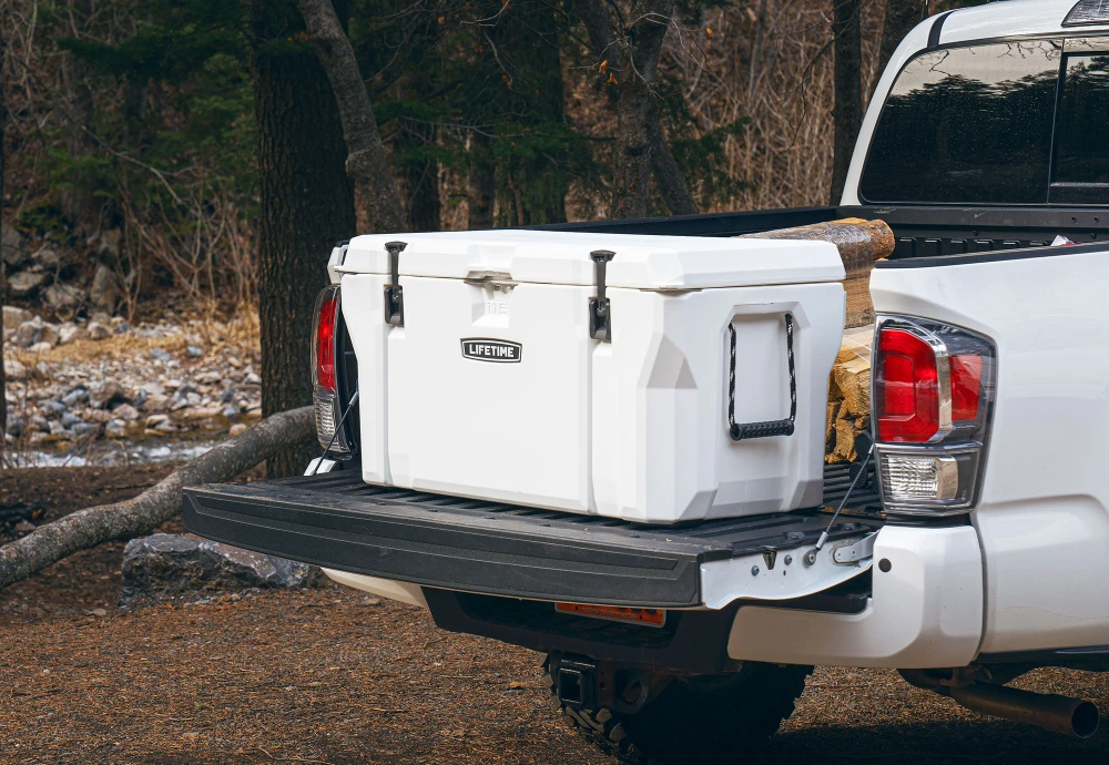 portable cooler box for car