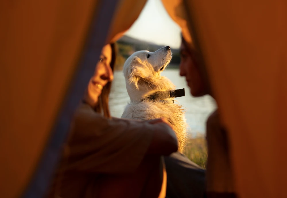 ultralight tent for backpacking