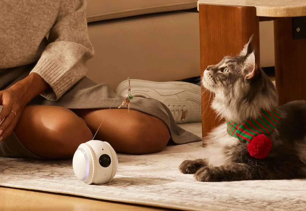 portable pet camera