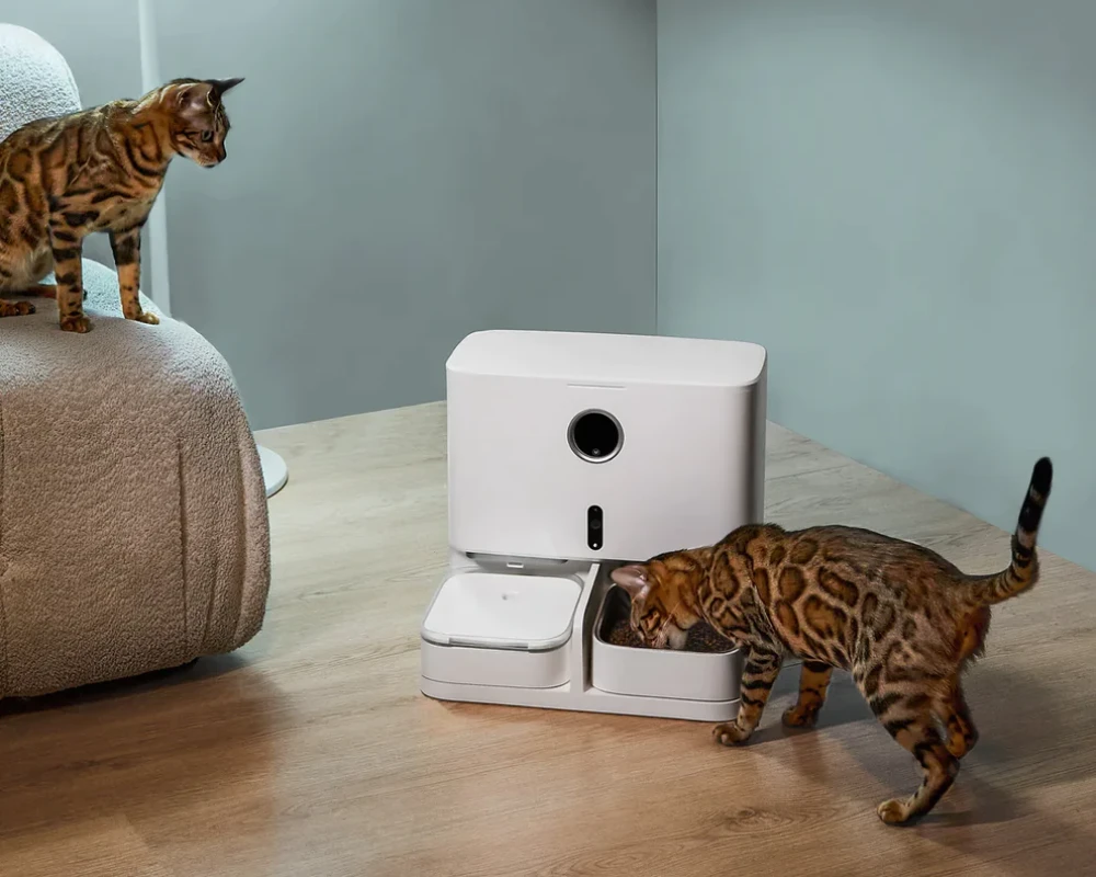 automatic pet feeder bowl